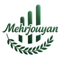 لوگو فوتر