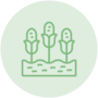 تجربه کشاورزی